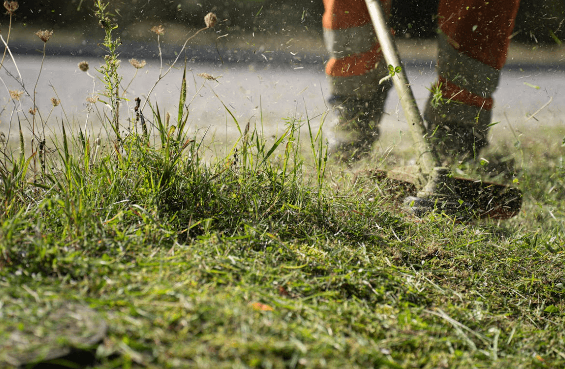 HOME screenshot 2025 11 23 at 9.47.24 am